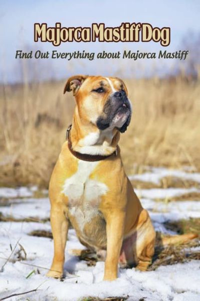 Cover for Caris Michelle · Majorca Mastiff Dog: Find Out Everything about Majorca Mastiff: Majorca Mastiff Dog Information and Dog Breed Facts (Paperback Book) (2021)