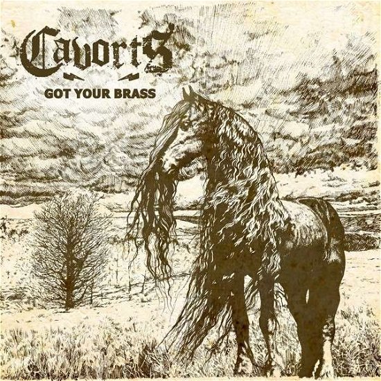 Cover for Cavorts · Got Your Brass (CD) (2014)
