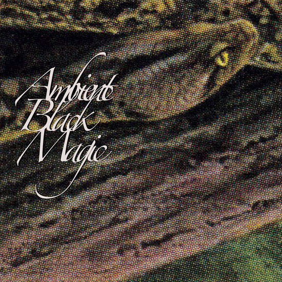 Ambient Black Magic - Rainforest Spiritual Enslavement - Música - HOSPITAL PRODUCTIONS - 0843563157695 - 1 de setembro de 2023