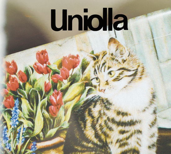 Cover for Uniolla (CD) [Japan Import edition] (2021)