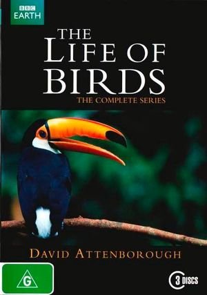 Cover for David Attenborough · Life Of Birds, The - Complete Series (DVD) (2010)