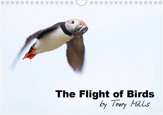 Cover for Mills · The Flight of Birds by Tony Mills (Book)
