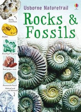 Rocks and Fossils - Naturetrail - Struan Reid - Books - Usborne Publishing Ltd - 9781409527695 - December 1, 2010