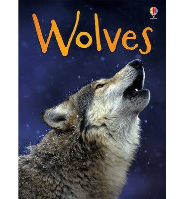 Wolves - Beginners - James Maclaine - Bøger - Usborne Publishing Ltd - 9781409530695 - 1. juli 2013