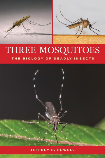 Three Mosquitoes: The Biology of Deadly Insects - Jeffrey R. Powell - Books - Johns Hopkins University Press - 9781421451695 - August 12, 2025