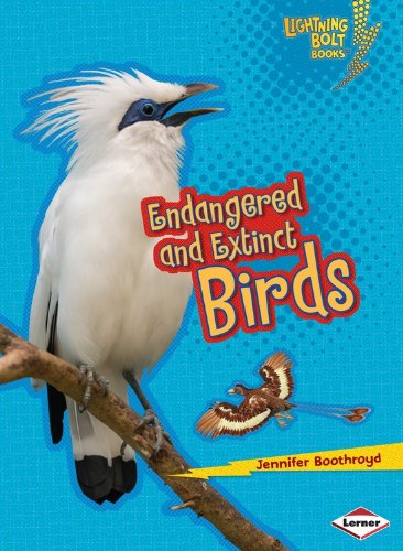 Cover for Jennifer Boothroyd · Endangered and Extinct Birds - Lightning Bolt Books Animals in Danger (Paperback Book) (2014)