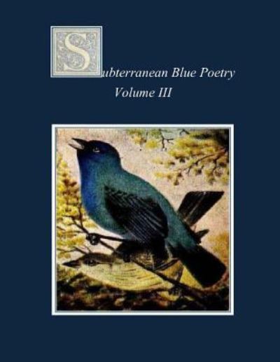 Ms. Rebecca Anne Banks · Subterranean Blue Poetry (Taschenbuch) (2016)