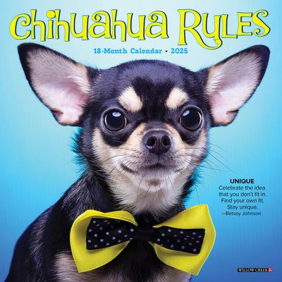 Willow Creek Press · Chihuahua Rules 2025 7 X 7 Mini Wall Calendar (Calendar) (2024)