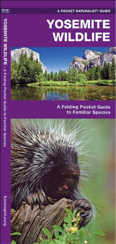 Cover for James Kavanagh · Yosemite Wildlife: a Folding Pocket Guide to Familiar Species (Pocket Naturalist Guide Series) (Pamphlet) [1st edition] (2018)