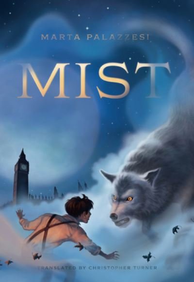 Cover for Marta Palazzesi · Mist (Inbunden Bok) (2023)