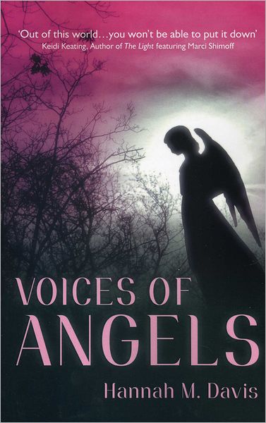 Cover for Hannah M. Davis · Voices of Angels (Paperback Book) (2012)