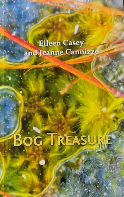 Cover for Eileen Casey · Bog Treasure (Taschenbuch) (2021)