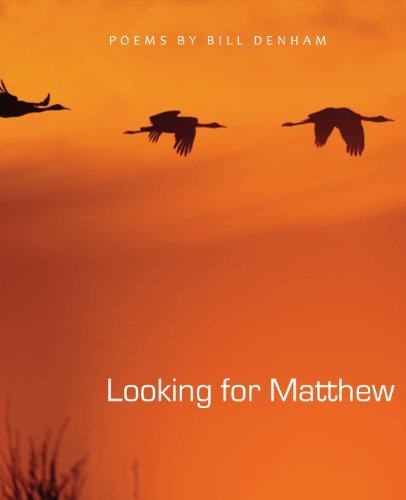 Cover for Bill Denham · Looking for Matthew (Paperback Book) (2012)