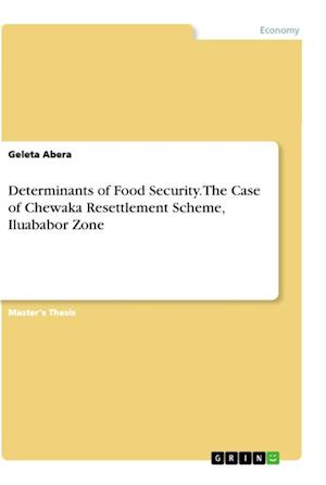 Cover for Geleta Abera · Determinants of Food Security. The Case of Chewaka Resettlement Scheme, Iluababor Zone (Paperback Book) (2021)
