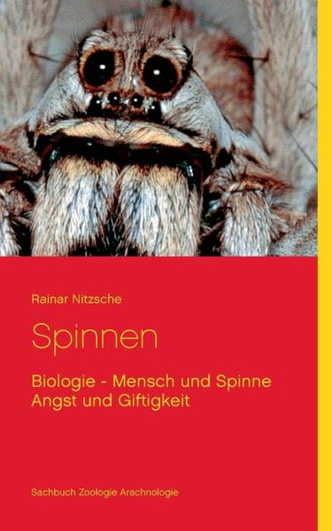 Cover for Nitzsche · Spinnen (Book) (2018)