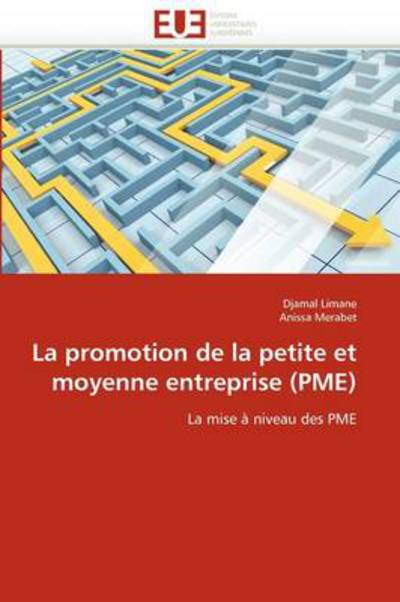 Cover for Anissa Merabet · La Promotion De La Petite et Moyenne Entreprise (Pme): La Mise À Niveau Des Pme (Paperback Book) [French edition] (2018)