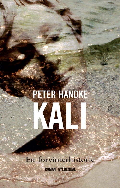 Cover for Peter Handke · Kali (Sewn Spine Book) [1er édition] (2008)