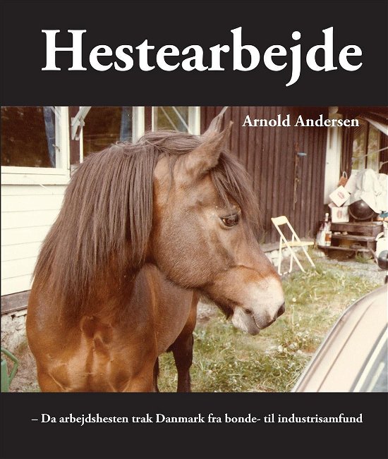 Hestearbejde - Arnold Andersen - Bøger - kahrius - 9788771531695 - 9. december 2016