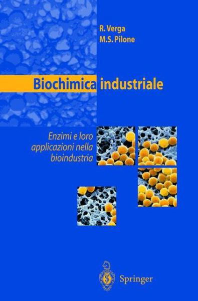 Biochimica Industriale: Enzimi e Loro Applicazioni Nella Bioindustria - Antibioticos SpA R. Verga - Books - Springer Verlag - 9788847001695 - December 1, 2001