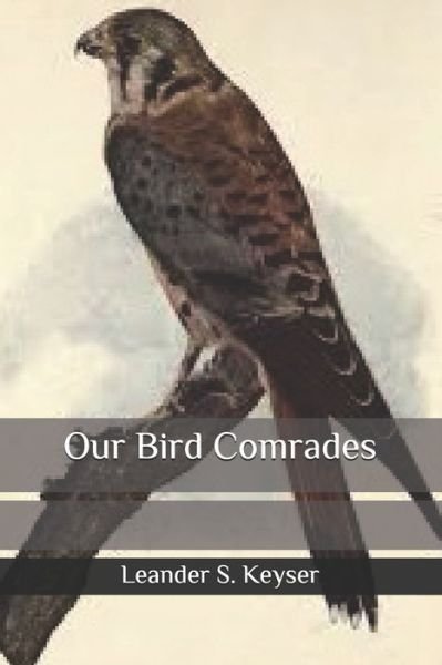 Cover for Leander S Keyser · Our Bird Comrades (Paperback Book) (2020)