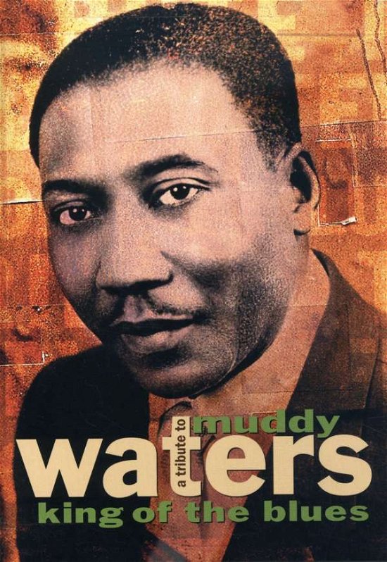 Cover for Muddy Waters · Tribute to (DVD) [Tribute edition] (2004)