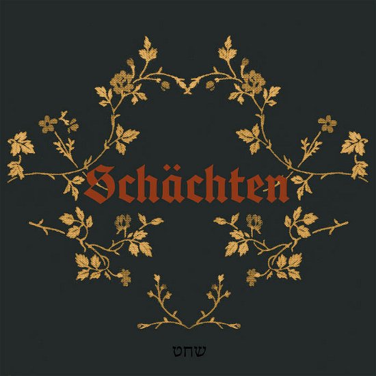 Cover for Erik K Skodvin · Schachten (LP) (2023)