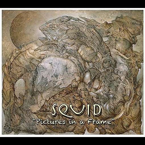 Cover for Squid · Pictures in a Frame (CD) (2012)