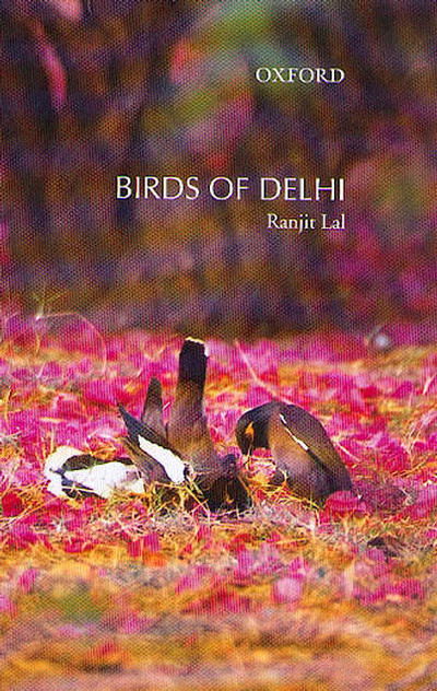 Cover for Ranjit Lal · Birds of Delhi (Book) (2003)