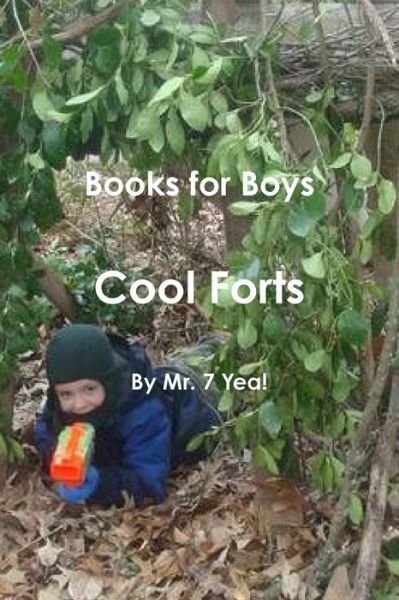 Cover for 7 Yea! · Cool Forts (Bog) (2013)