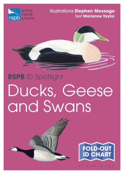 Cover for Marianne Taylor · RSPB ID Spotlight - Ducks, Geese and Swans - RSPB (Map) (2022)