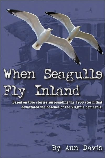 Cover for Ann Davis · When Seagulls Fly Inland (Taschenbuch) (2009)
