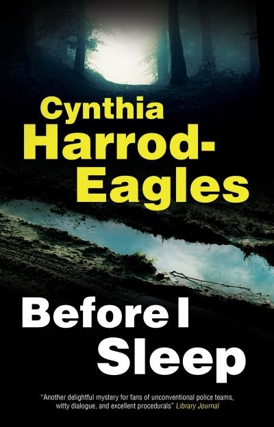 Cover for Cynthia Harrod-Eagles · Before I Sleep - A Detective Inspector Slider Mystery (Hardcover Book) [Main - Large Print edition] (2023)
