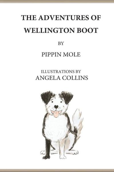 Cover for Pippin Mole · The Adventures of Wellington Boot (Paperback Book) (2016)