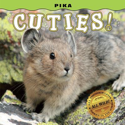 Cover for Steph Lehmann · Pika Cuties! (Board book) (2019)