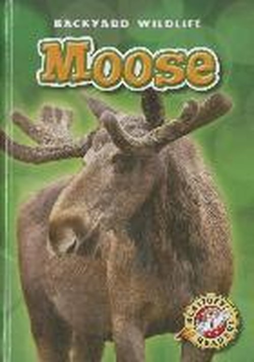 Cover for Kristin Schuetz · Moose (Blastoff Readers: Backyard Wildlife) (Hardcover Book) (2014)