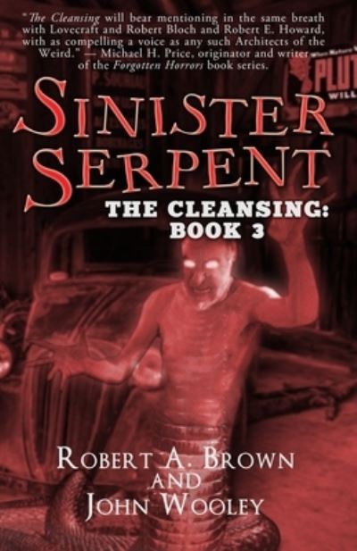 Sinister Serpent - John Wooley - Książki - Babylon Books - 9781948263696 - 14 czerwca 2020