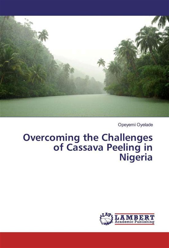 Cover for Oyelade · Overcoming the Challenges of Ca (Bok)