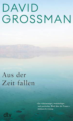 Cover for David Grossman · Aus der Zeit fallen (Buch) (2023)