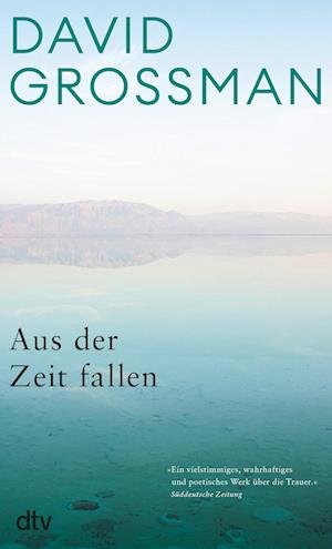 Cover for David Grossman · Aus der Zeit fallen (Bok) (2023)