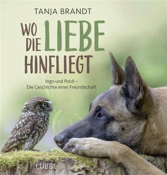 Cover for Brandt · Wo die Liebe hinfliegt (Bog)
