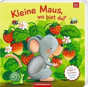 Mein erstes Guckloch-Fühlbuch: Kleine Maus, wo bist du? - Sabine Kraushaar - Books - Coppenrath - 9783649645696 - August 1, 2023