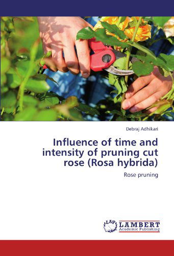 Cover for Debraj Adhikari · Influence of Time and Intensity of Pruning Cut Rose  (Rosa Hybrida): Rose Pruning (Paperback Book) (2012)