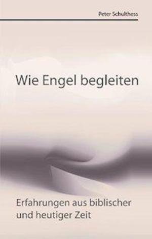 Cover for Peter Schulthess · Wie Engel begleiten (Paperback Book) (2015)