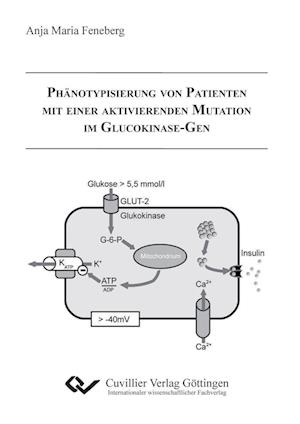 Cover for Anja Feneberg · PhÄnotypisierung Von Patienten Mit Einer Aktivierenden Mutation Im Glucokinase-gen (Paperback Book) (2010)
