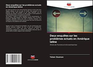 Deux enquêtes sur les problèmes - Guzman - Books -  - 9786203042696 - 