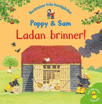 Ladan brinner! - Stephen Cartwright Heather Amery - Książki - Tukan förlag - 9789179852696 - 10 sierpnia 2020