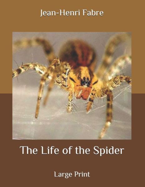 Cover for Jean-Henri Fabre · The Life of the Spider (Paperback Book) (2020)