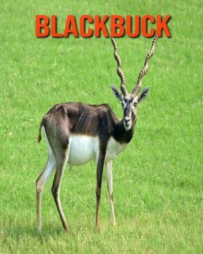 Blackbuck - William Doyle - Books - Independently Published - 9798694177696 - October 5, 2020