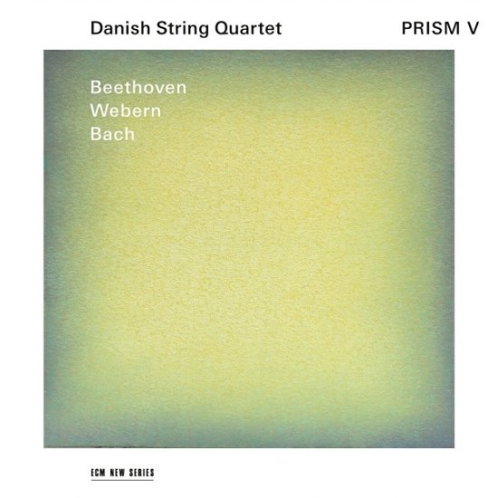Cover for Danish String Quartet · Prism V (CD) (2023)