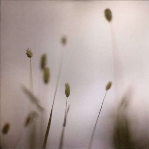 Cover for Peter Broderick · Float (CD) (2008)